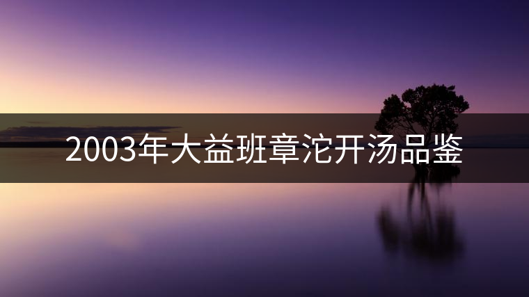 2003年大益班章沱開湯品鑒