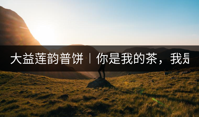 大益蓮韻普餅︱你是我的茶，我是你的人！