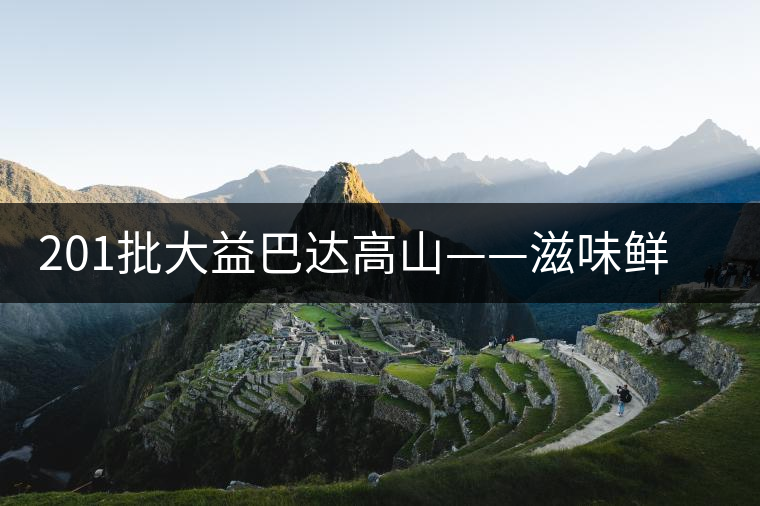 201批大益巴達高山——滋味鮮爽醇厚，回甘高而持久