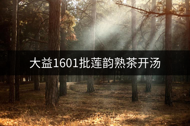 大益1601批蓮韻熟茶開(kāi)湯