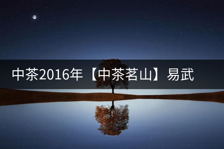 中茶2016年【中茶茗山】易武熟茶開湯品鑒 中茶2016年【中茶茗山】易武熟茶開湯品鑒