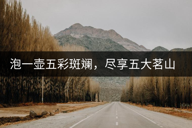 泡一壺五彩斑斕，盡享五大茗山之味