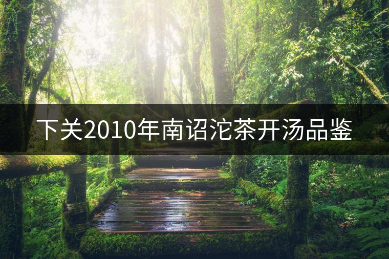 下關(guān)2010年南詔沱茶開湯品鑒