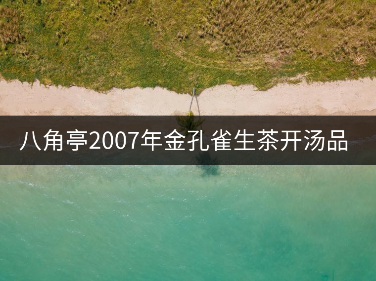 八角亭2007年金孔雀生茶開湯品鑒