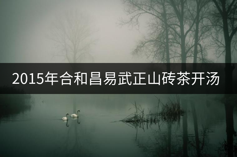 2015年合和昌易武正山磚茶開(kāi)湯品鑒 2015年合和昌易武正山磚茶開(kāi)湯品鑒