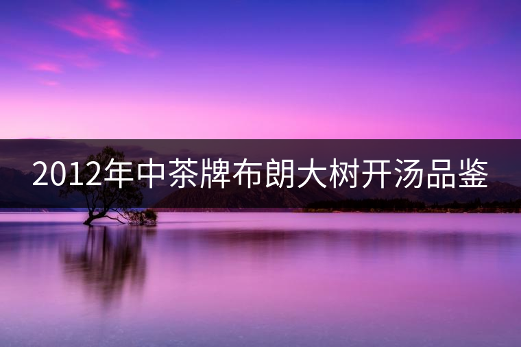 2012年中茶牌布朗大樹開湯品鑒
