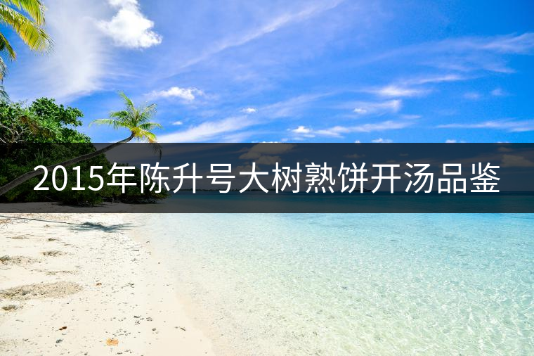 2015年陳升號(hào)大樹熟餅開湯品鑒 2015年陳升號(hào)大樹熟餅開湯品鑒