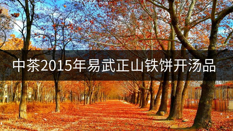 中茶2015年易武正山鐵餅開湯品鑒 中茶2015年易武正山鐵餅開湯品鑒