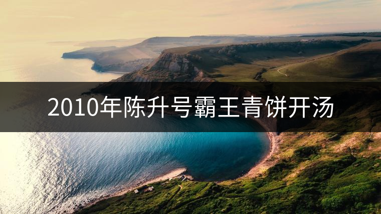 2010年陳升號(hào)霸王青餅開湯 2010年陳升號(hào)霸王青餅開湯