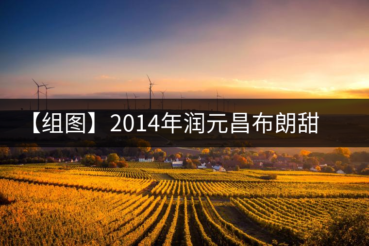 【組圖】2014年潤元昌布朗甜茶開湯