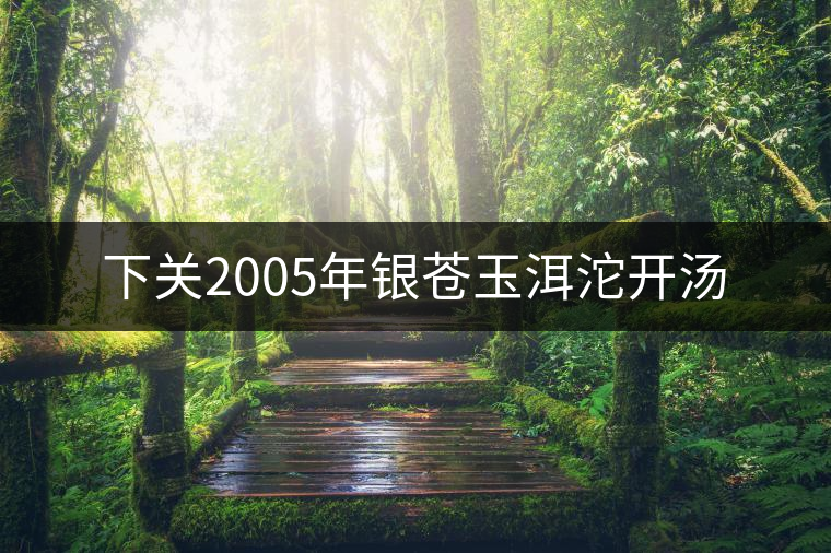 下關2005年銀蒼玉洱沱開湯