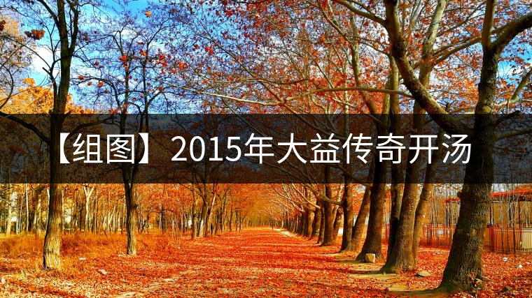 【組圖】2015年大益?zhèn)髌骈_湯 【組圖】2015年大益?zhèn)髌骈_湯