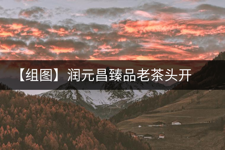 【組圖】潤(rùn)元昌臻品老茶頭開(kāi)湯 【組圖】潤(rùn)元昌臻品老茶頭開(kāi)湯