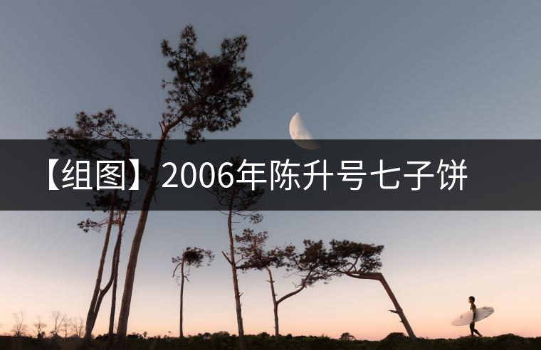 【組圖】2006年陳升號(hào)七子餅開(kāi)湯 【組圖】2006年陳升號(hào)七子餅開(kāi)湯