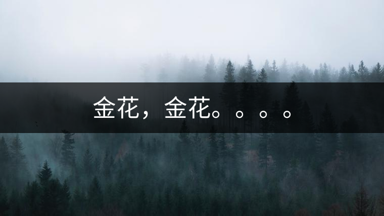 金花，金花。。。。