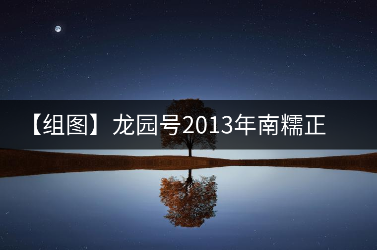 【組圖】龍園號(hào)2013年南糯正山小餅開(kāi)湯 【組圖】龍園號(hào)2013年南糯正山小餅開(kāi)湯