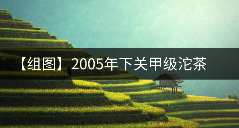 【組圖】2005年下關甲級沱茶開湯
