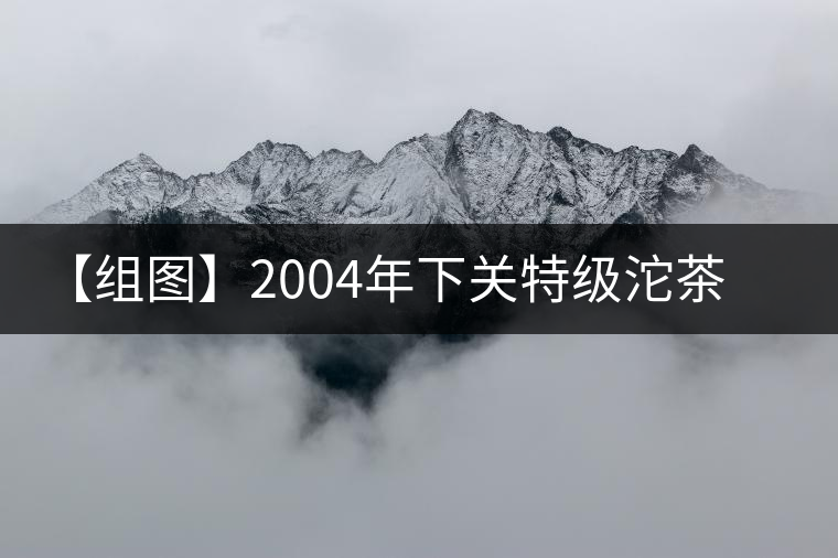 【組圖】2004年下關(guān)特級(jí)沱茶開(kāi)湯