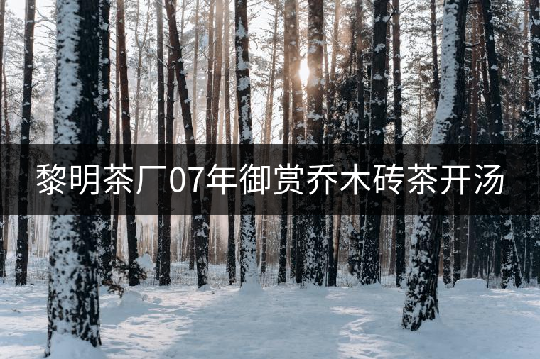 黎明茶廠07年御賞喬木磚茶開(kāi)湯 黎明茶廠07年御賞喬木磚茶開(kāi)湯