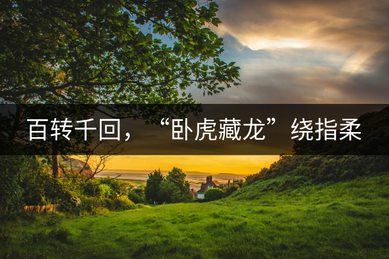 百轉(zhuǎn)千回，“臥虎藏龍”繞指柔