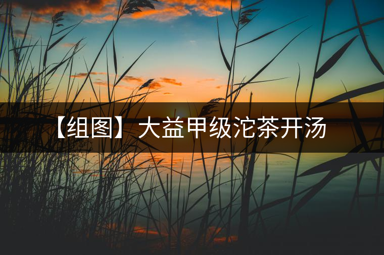 【組圖】大益甲級沱茶開湯