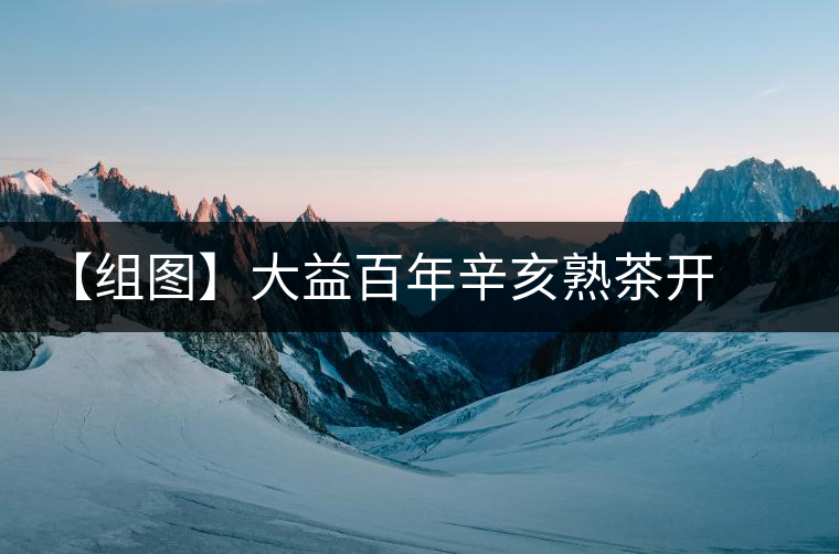 【組圖】大益百年辛亥熟茶開(kāi)湯