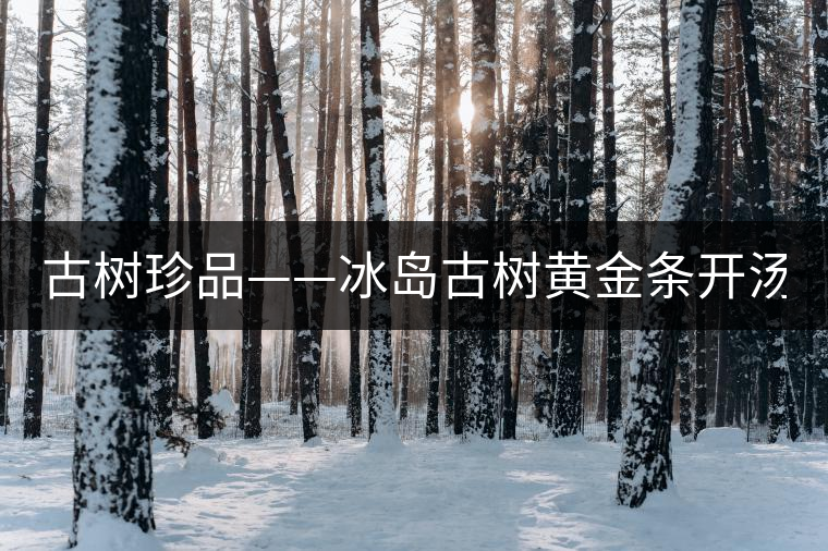 古樹珍品——冰島古樹黃金條開湯（圖閱）