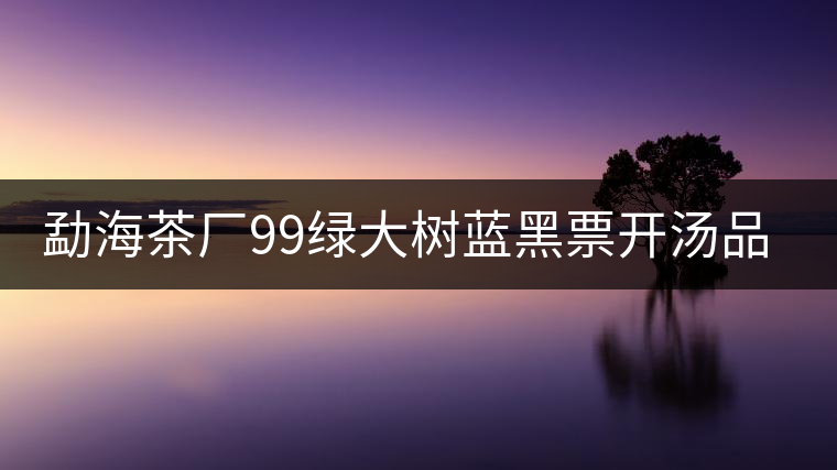 勐海茶廠99綠大樹藍(lán)黑票開湯品鑒