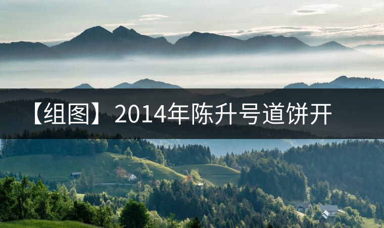 【組圖】2014年陳升號(hào)道餅開(kāi)湯 【組圖】2014年陳升號(hào)道餅開(kāi)湯