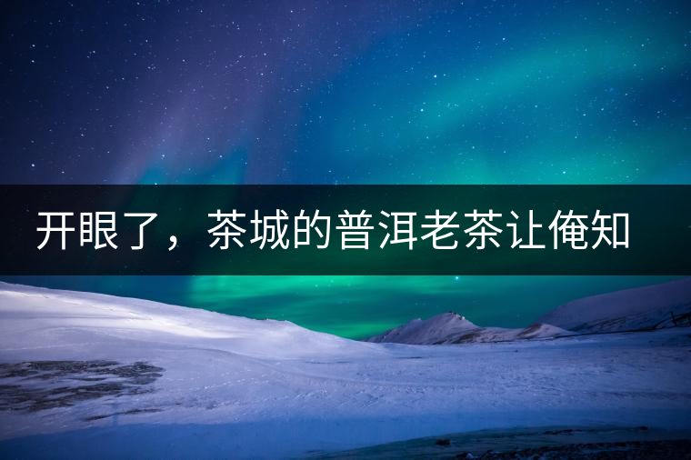 開(kāi)眼了，茶城的普洱老茶讓俺知道了老茶樹(shù)