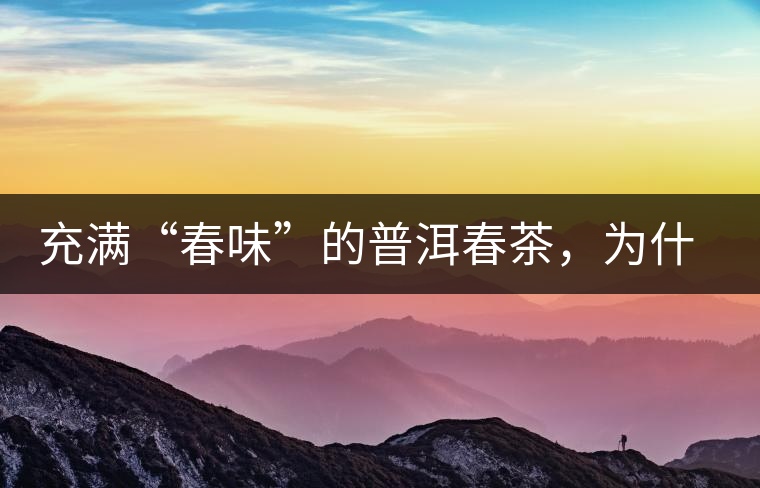 充滿“春味”的普洱春茶，為什么值得期待？
