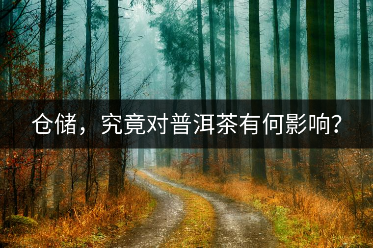 倉儲，究竟對普洱茶有何影響？