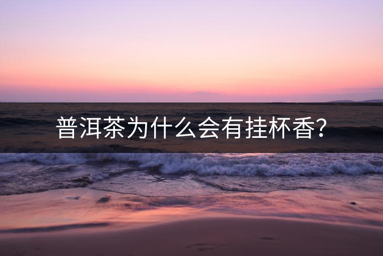 普洱茶為什么會有掛杯香？
