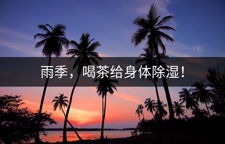 雨季，喝茶給身體除濕！