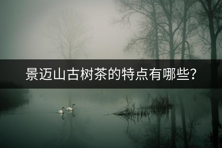 景邁山古樹茶的特點(diǎn)有哪些？