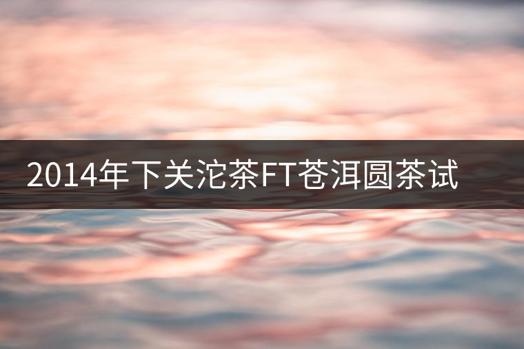 2014年下關沱茶FT蒼洱圓茶試用報告