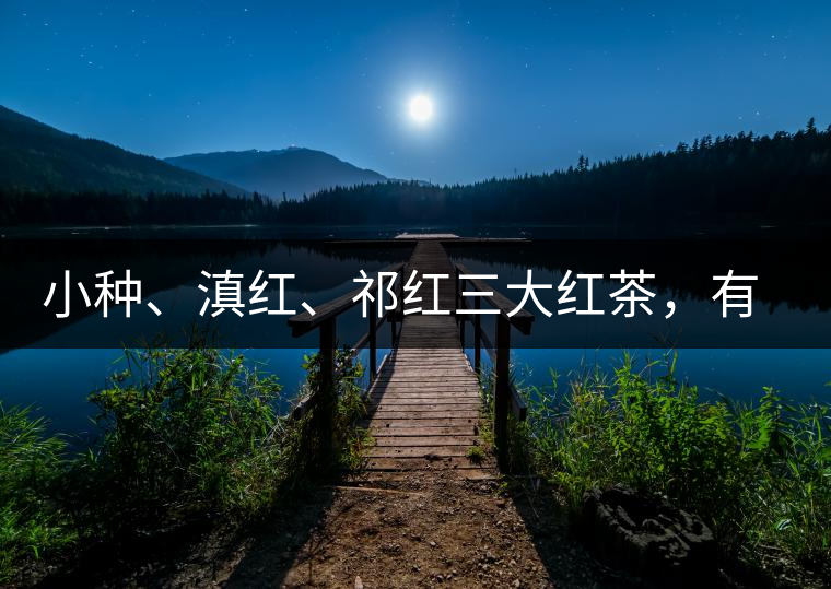 小種、滇紅、祁紅三大紅茶，有何區(qū)別