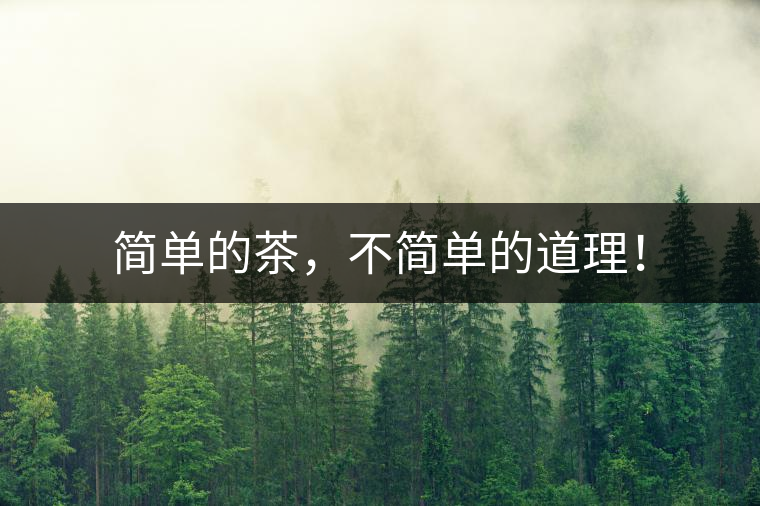 簡(jiǎn)單的茶，不簡(jiǎn)單的道理！