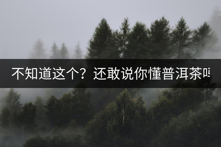 不知道這個？還敢說你懂普洱茶嗎？