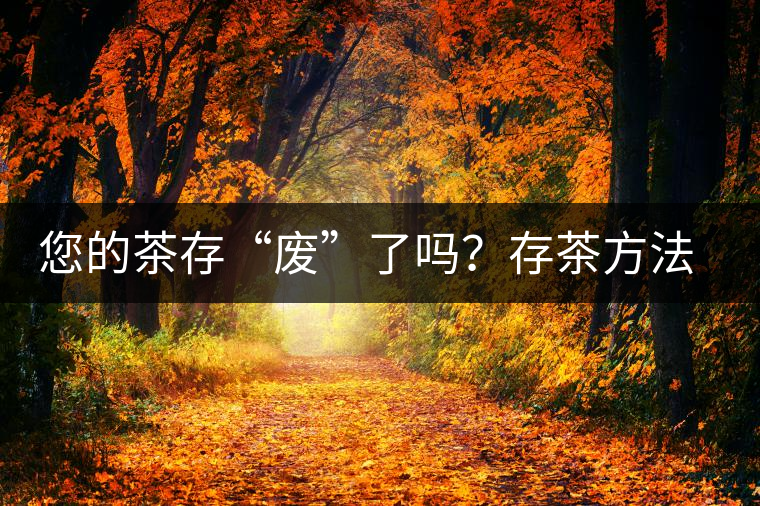 您的茶存“廢”了嗎？存茶方法與技巧，把香留??！