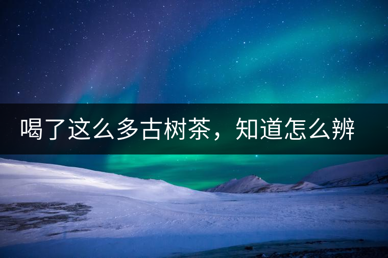 喝了這么多古樹(shù)茶，知道怎么辨別嗎？