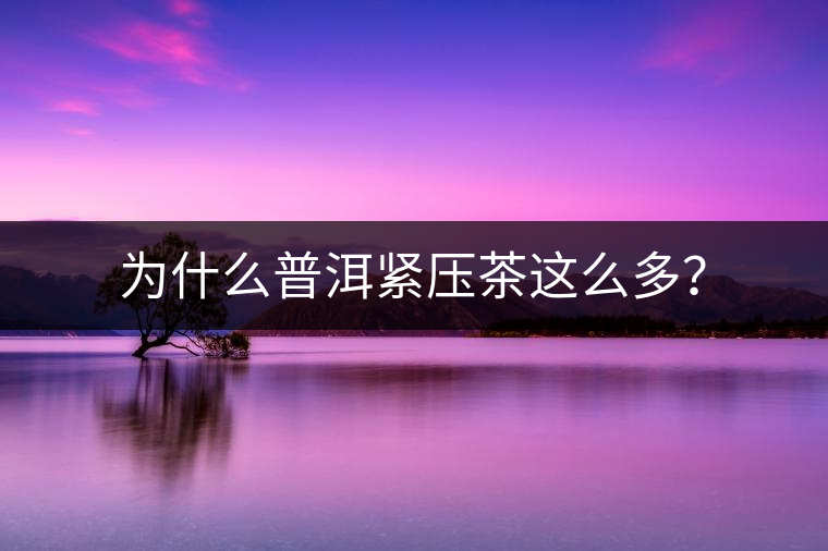 為什么普洱緊壓茶這么多？