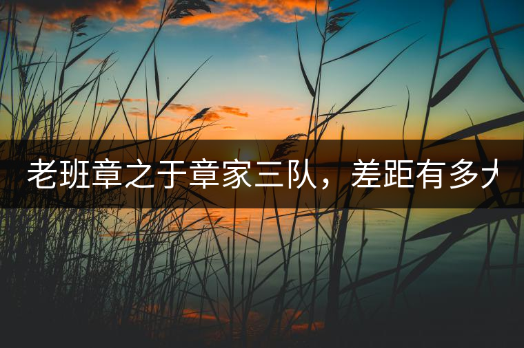 老班章之于章家三隊(duì)，差距有多大？