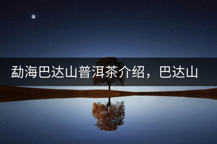 勐海巴達山普洱茶介紹,巴達山古樹茶口感特點 勐海巴達山普洱茶介紹,巴達山古樹茶口感特點