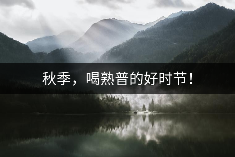 秋季，喝熟普的好時節(jié)！