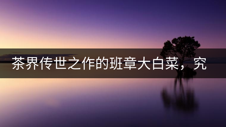 茶界傳世之作的班章大白菜，究竟有什么大來頭？