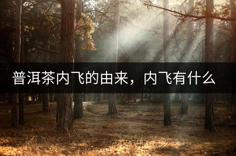 普洱茶內(nèi)飛的由來，內(nèi)飛有什么作用？