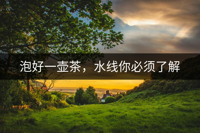 泡好一壺茶，水線你必須了解