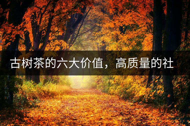 古樹茶的六大價值，高質(zhì)量的社交都離不開古樹茶