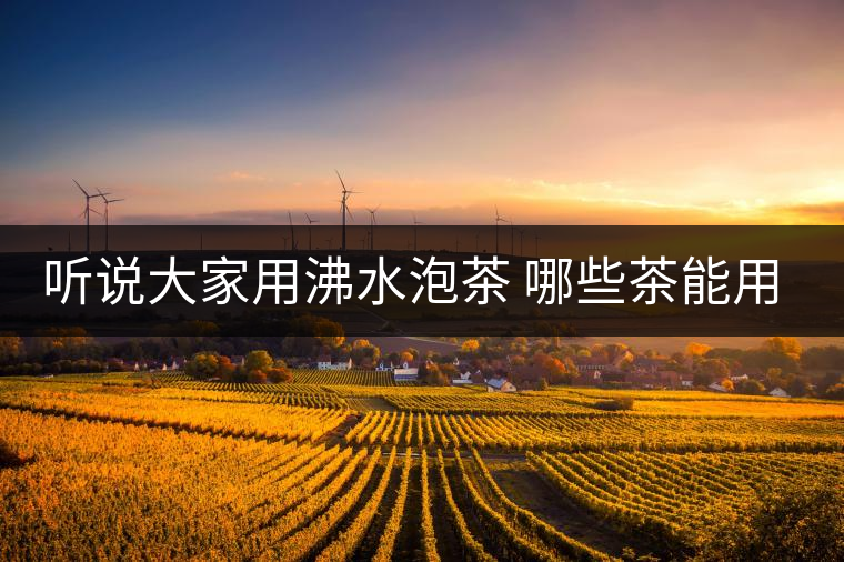 聽說大家用沸水泡茶 哪些茶能用沸水泡